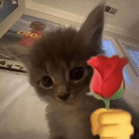 Love GIF